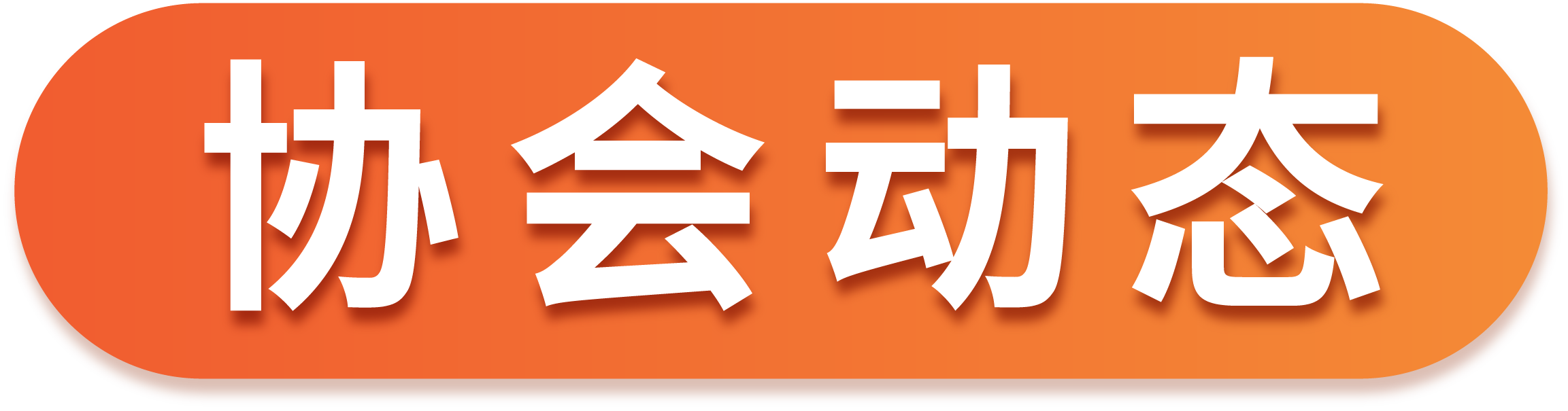 协会动态
